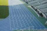 Sprinter ‘Sprinter’ Up and Coming