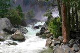 Negative Ions Negative Ions Going Beyond Alkalinity