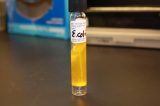 CDC CDC Investigates a Multi-State E. Coli Outbreak From Unknown Source
