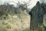 Poland Archeologist Finds 5,000-Year-Old Cemetery in Poland With Satellite Images