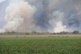 Wildfire Smoke May Increase Risk of COVID-19 Infection
