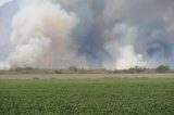 Wildfire Smoke May Increase Risk of COVID-19 Infection Wildfire Smoke May Increase Risk of COVID-19 Infection