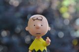 robbins Peter Robbins Voice of Charlie Brown Dies at 65