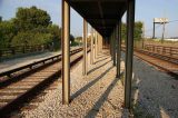 Man Man Struck in the Head With Gun on CTA Red Line