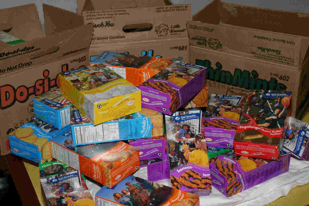 Girl Scouts