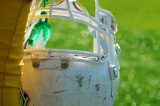 Football Indie Pro Football League Is 100% Black Owned