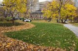 Park Park Built in North Lawndale Is Worth $1.5 Million